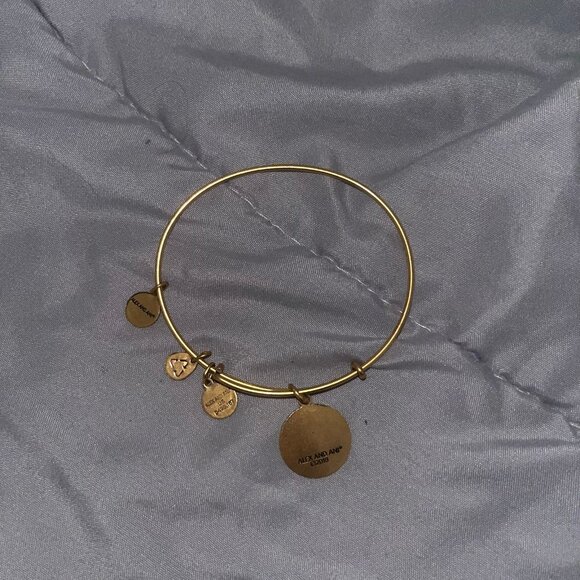 Alex and Ani Path of Life Charm Bangle in Gold-Tone Brass - Picture 3 of 5